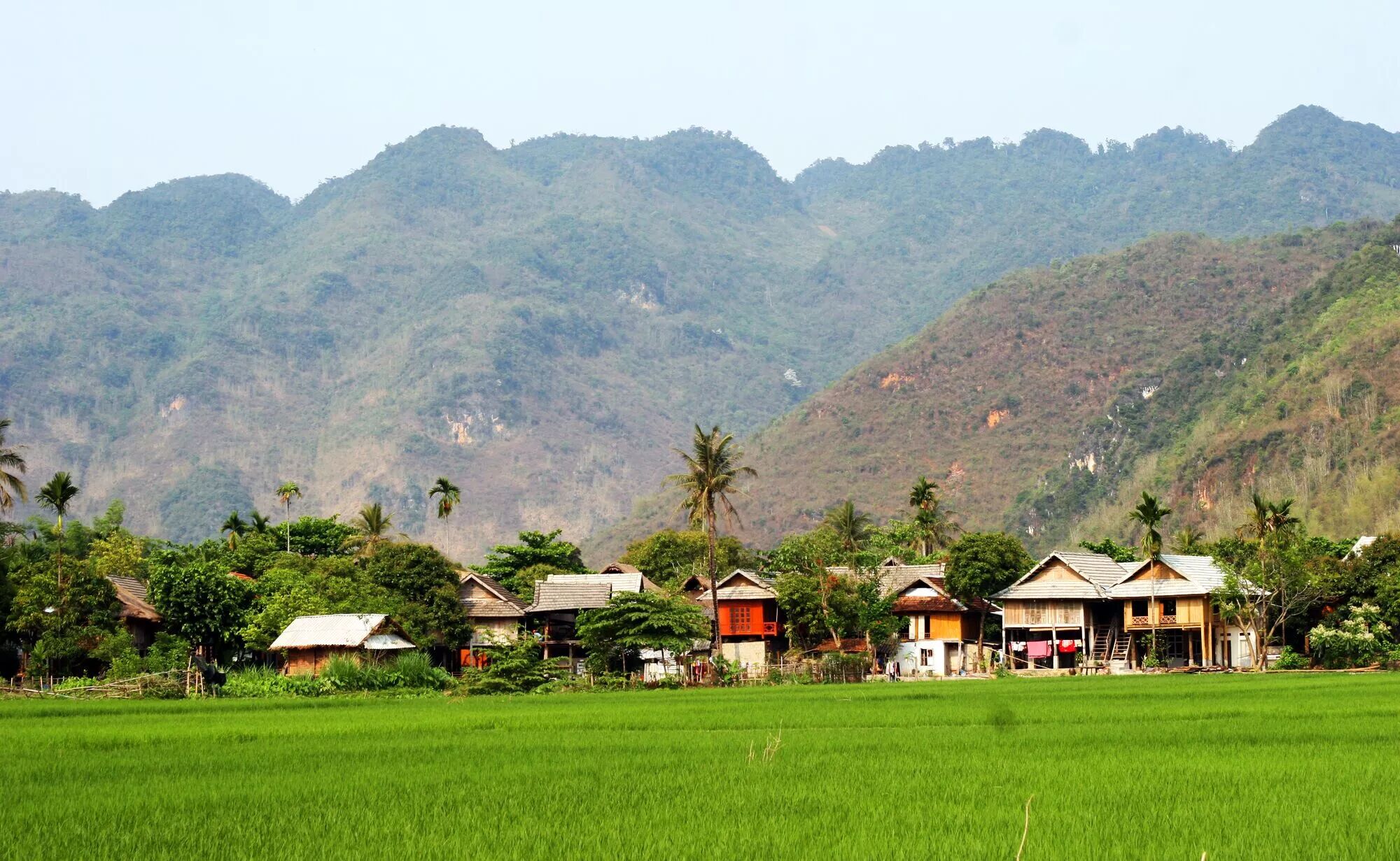 Capture the harvest beauty of Mai Chau’s eco-tourism gem